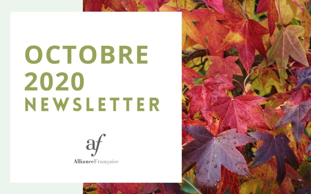 De nieuwsbrief van oktober 2020